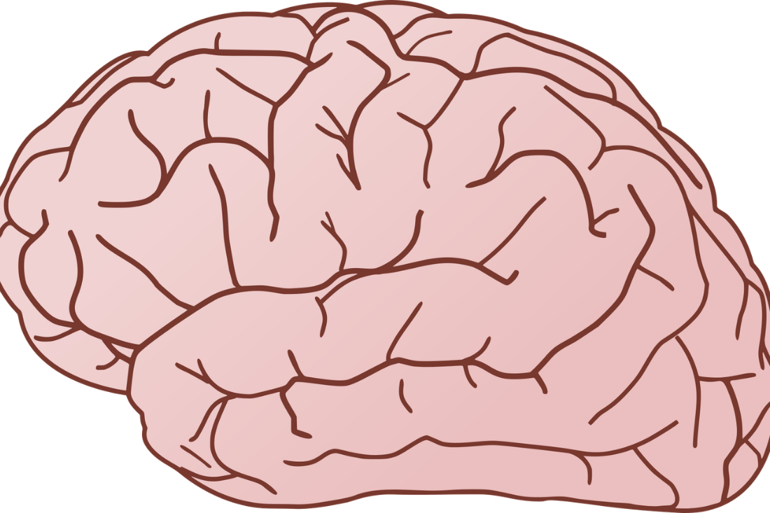 The Focus Pivot: Why “Brainmaxxing” Is the New Productivity Standard