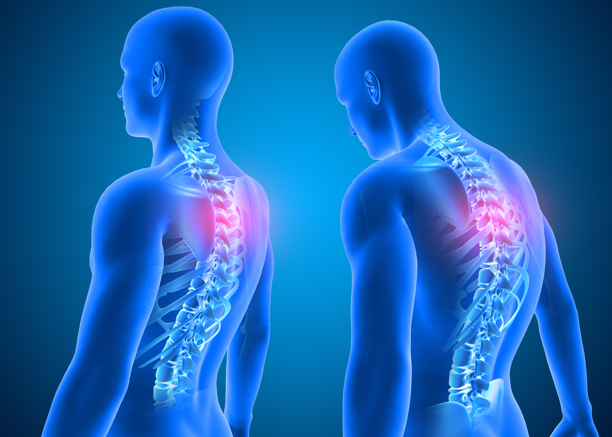 Posture & Spinal Support