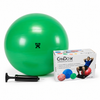 Exercise Ball Sets With Pump