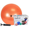 Exercise Ball Sets With Pump