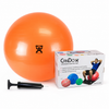 Exercise Ball Sets With Pump