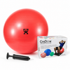 Exercise Ball Sets With Pump