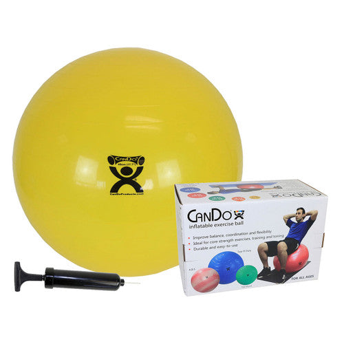 Exercise Ball Sets With Pump