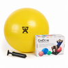 Exercise Ball Sets With Pump