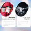 Creatine Gummies - Jar of 90 Gummies