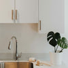 Solid Dish Soap Bar | Unscented