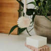 Solid Dish Soap Bar | Unscented